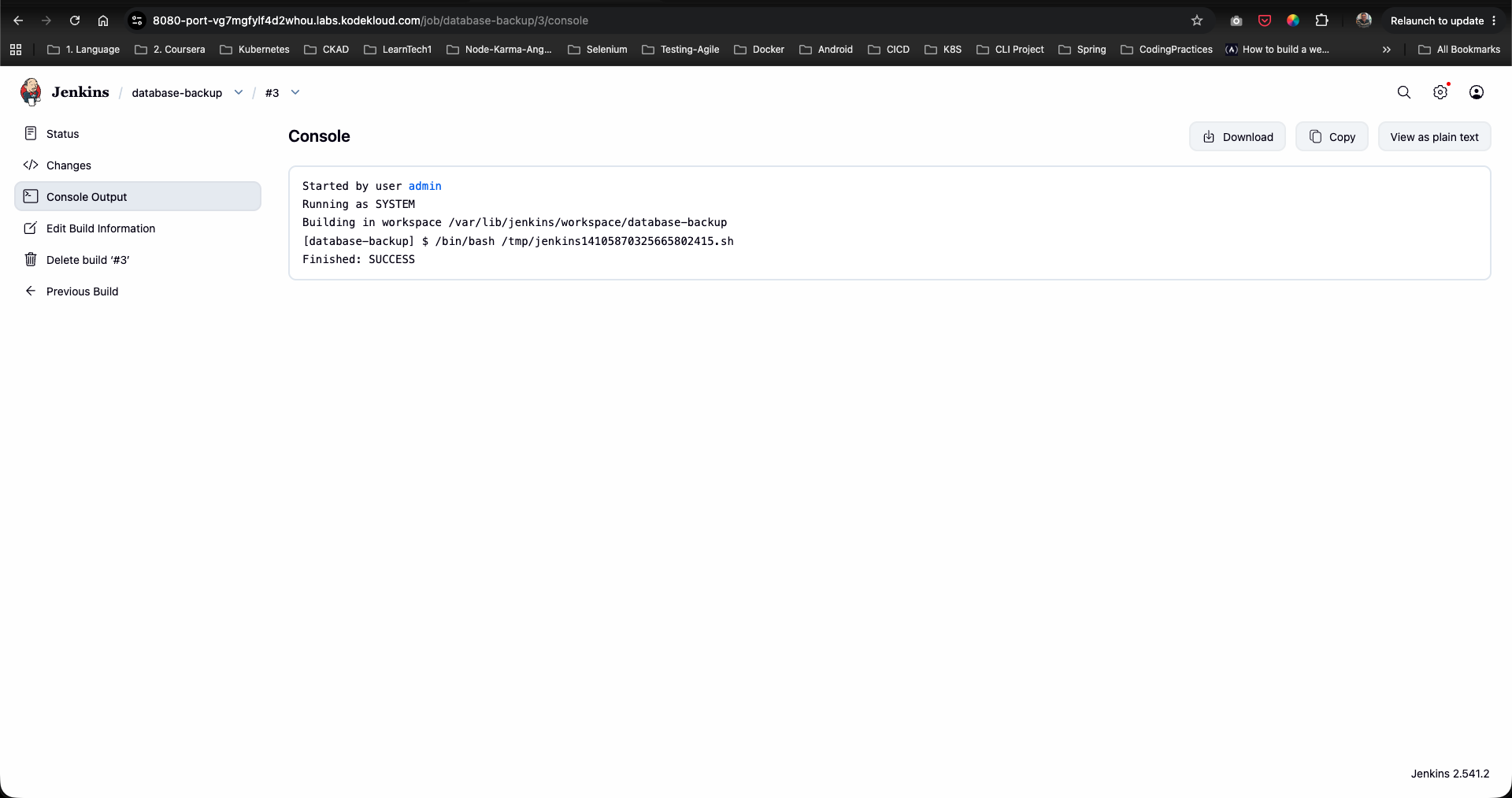 Console Output Verification