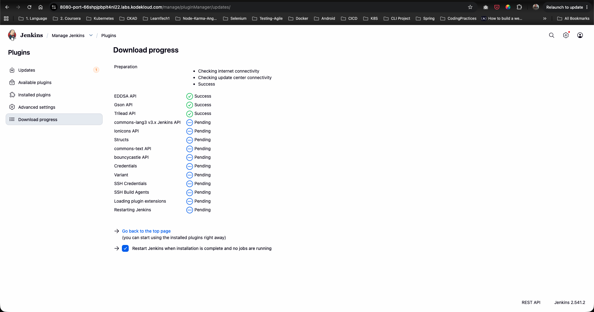 Restart Jenkins After Installation