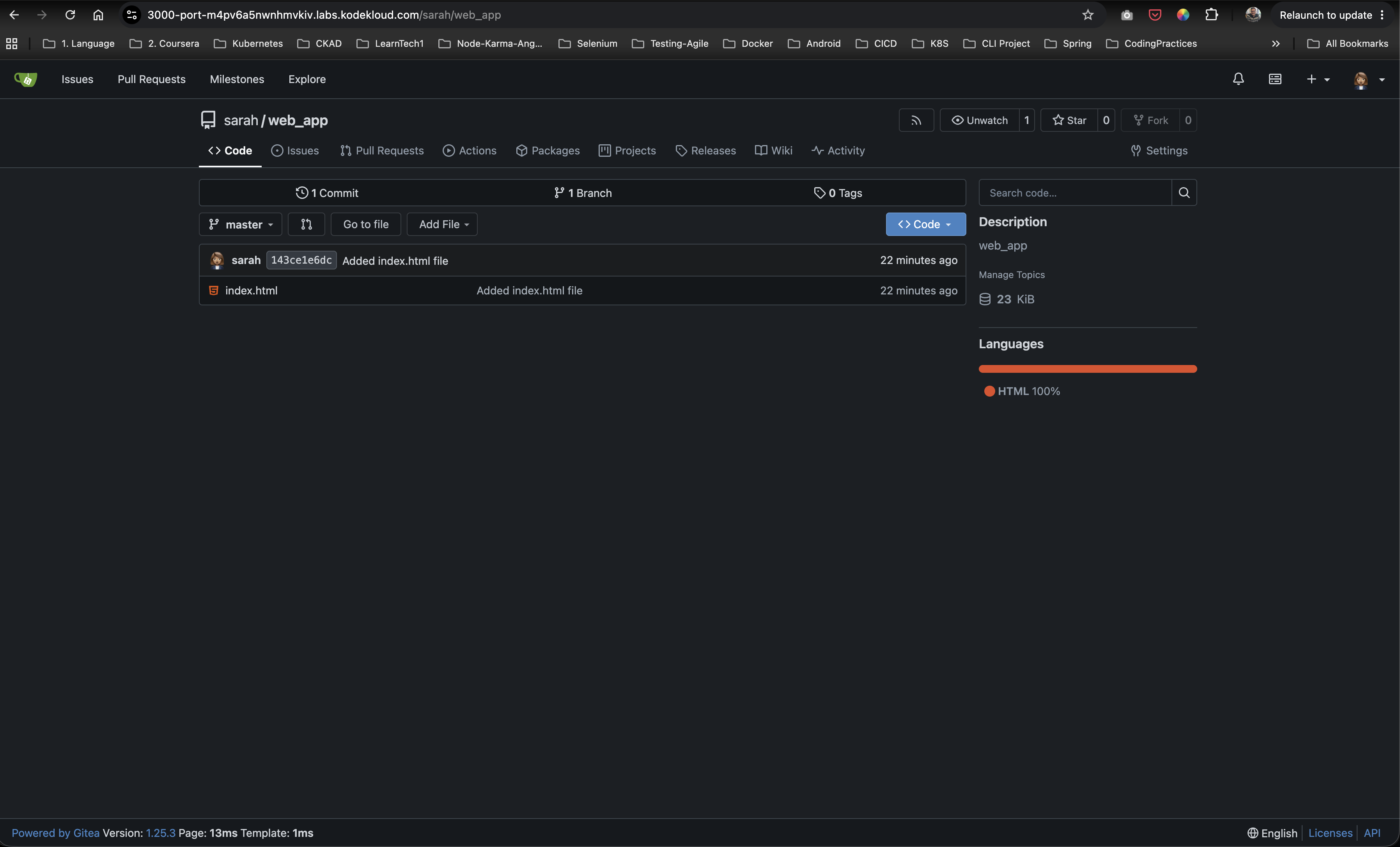 Gitea Web Application Repository