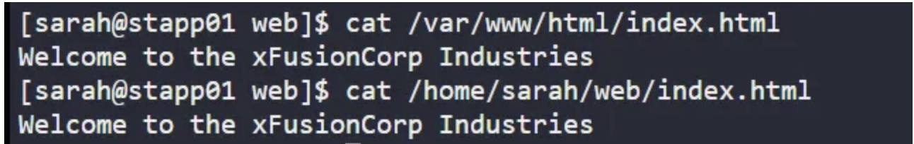 Build Step Execute Shell